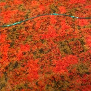 Meet your Posher, Elaina